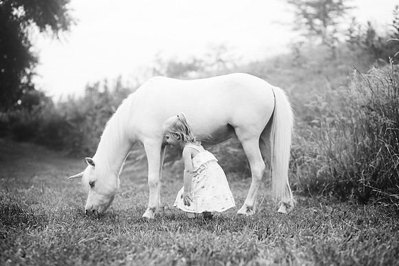 xUnicorns 2019-6
