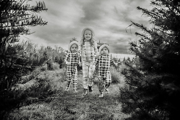xTree Farm 2024-125