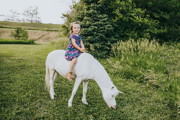 Unicorn 2021-27