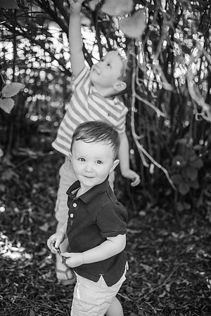 Daddy & I 2018 BW-272