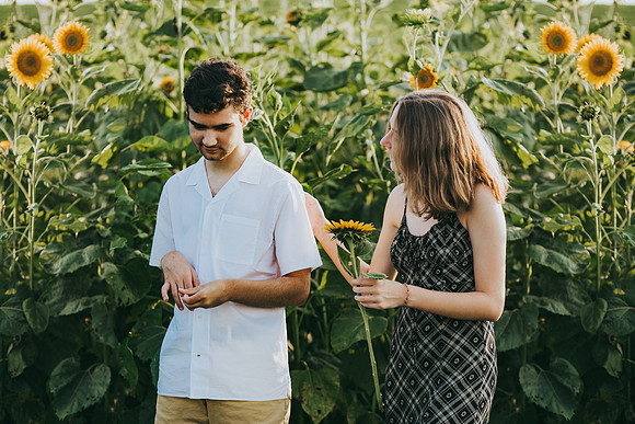 Sunflowers 2021-36