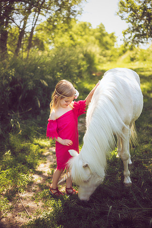 Unicorn-23