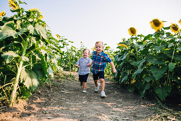 Sunflowers-53