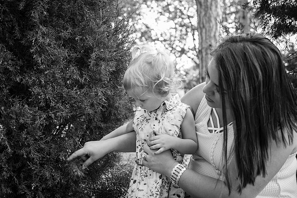 Family 2017-295