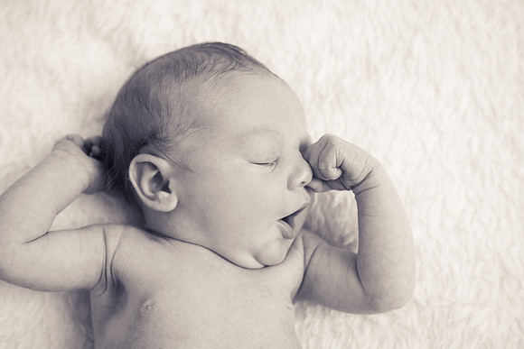 Reese NB-48