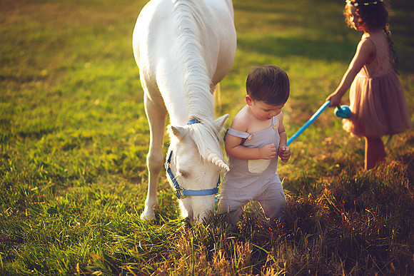 Unicorn-24