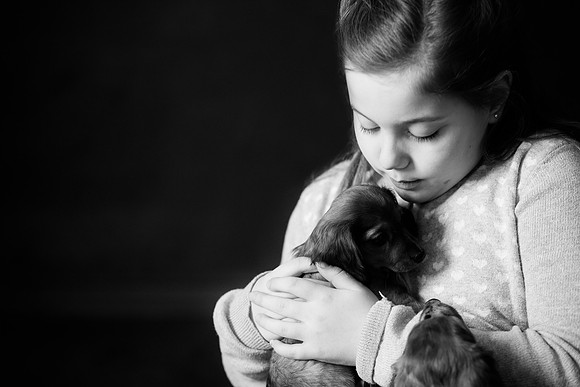 Puppies_-50