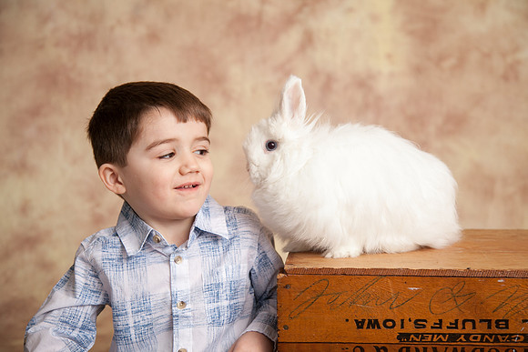 Bunny-2016-29