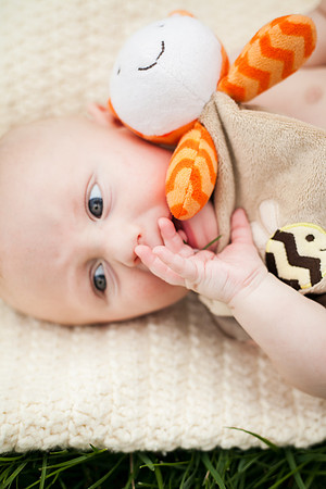Quinn 4mth-72