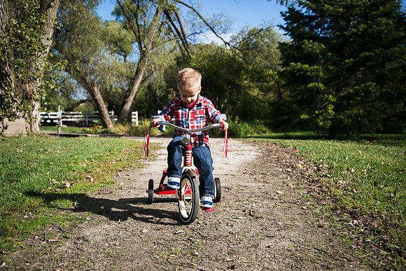 Tanner- 2yr-45