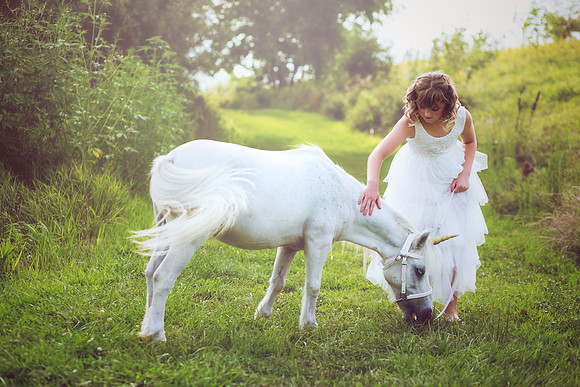 Unicorn-23