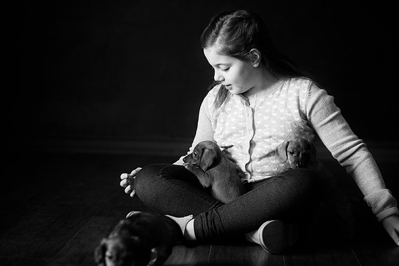 Puppies_-57