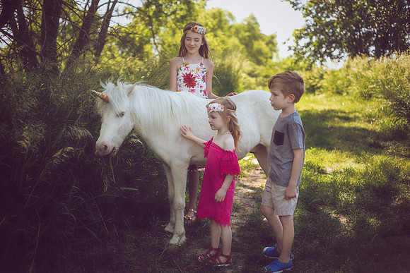 Unicorn
