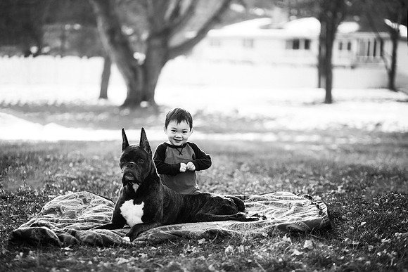 xPuppies 2020-10