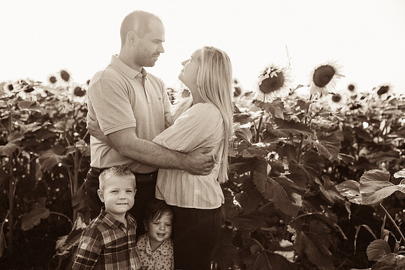 xSunflowers-2
