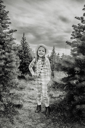 xTree Farm 2024-58
