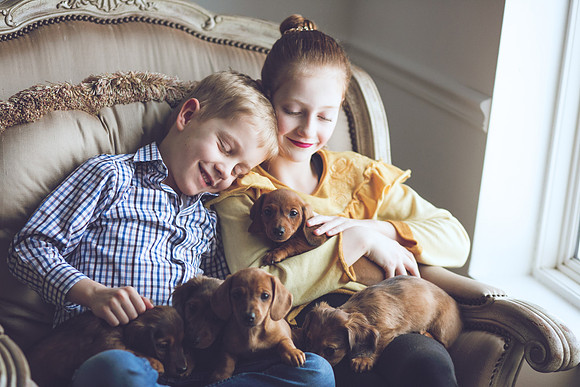 Puppies_-26