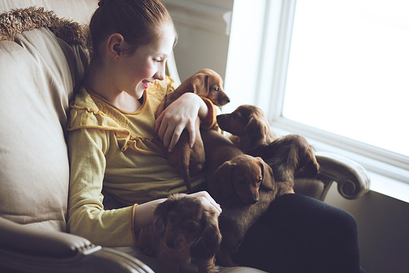Puppies_-45