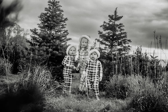 xTree Farm 2024-114