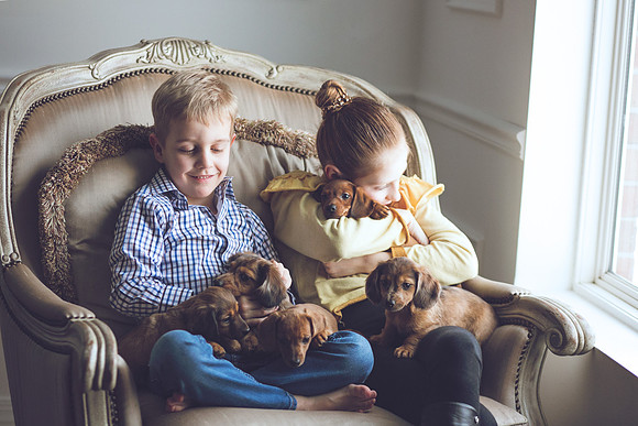 Puppies_-33