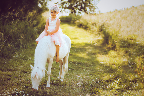 Unicorn-26