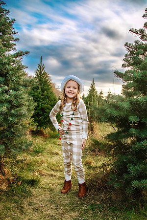 Tree Farm 2024-58