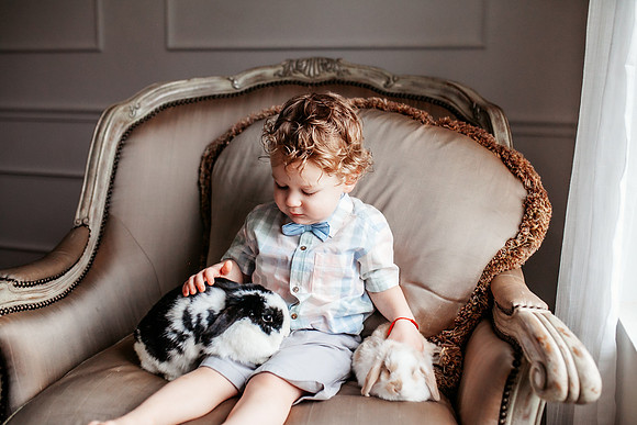 Bunny 2025-29
