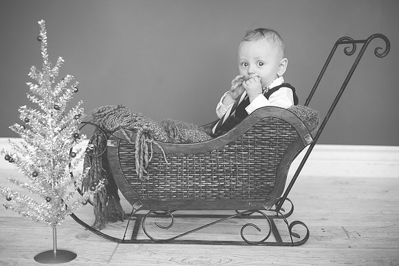 Quinn 8mth-57
