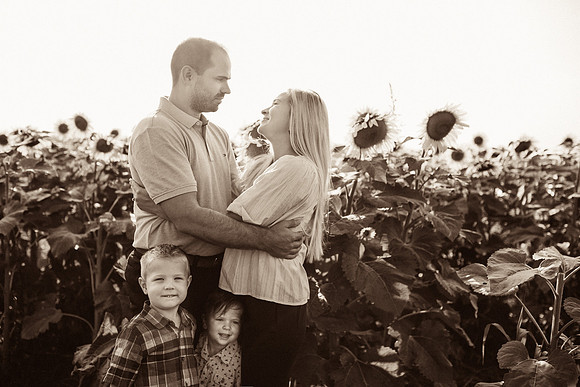 xSunflowers-3
