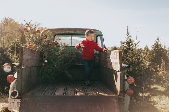 Tree Farm-39