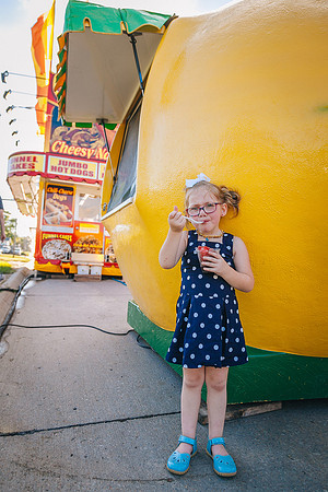 Fair 2017-202
