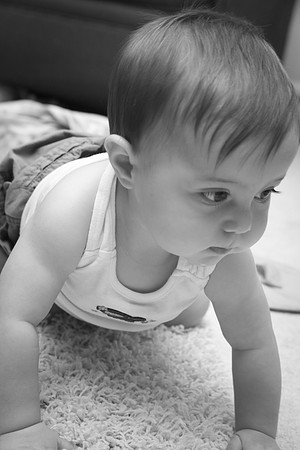 Amelia 9 mth-52