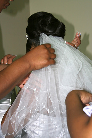 ceremony 230