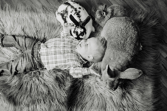 Oliver Bunnies-59